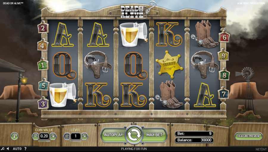 Dead or Alive Slot View