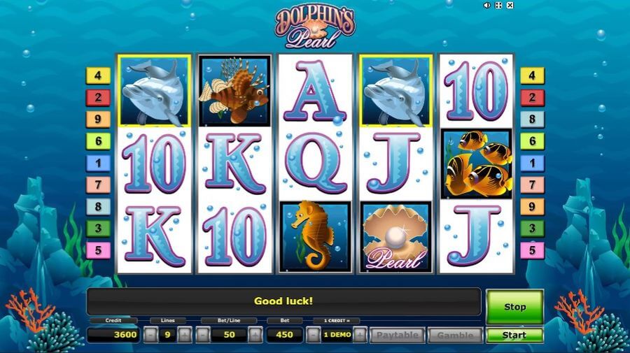 Dolphins Pearl Slot View